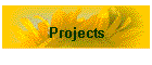 Projects