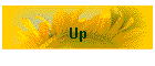 Up