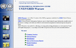 grid11.GIF (11106 bytes)