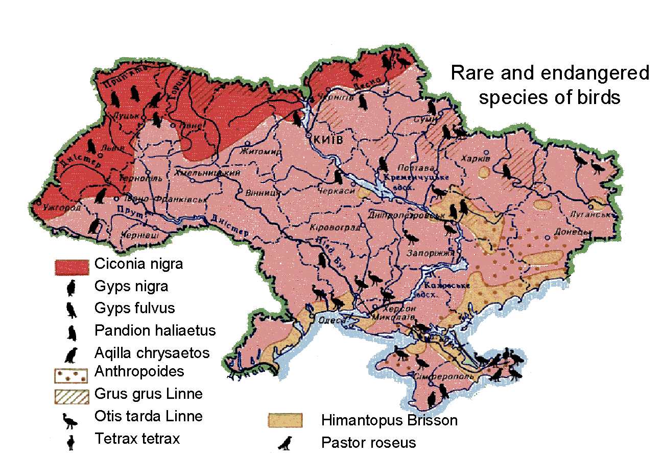 map19.gif (177966 bytes)